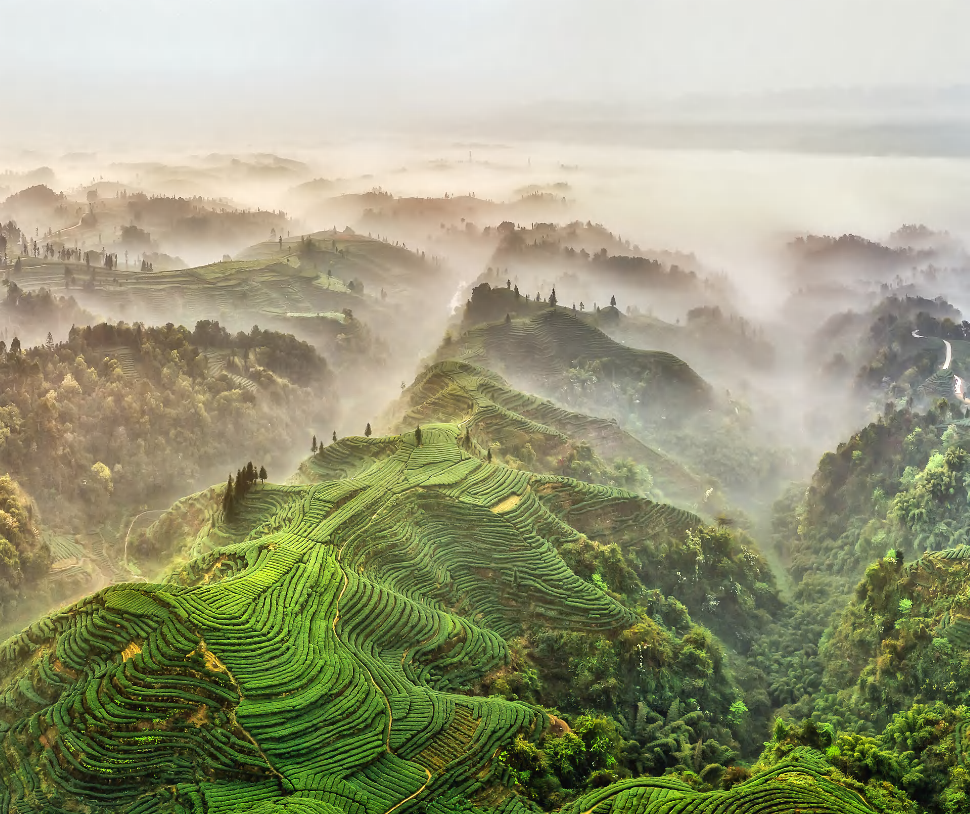 名山區(qū)創(chuàng)建天府旅游名縣 迎檢接待服務(wù)技術(shù)輔導(dǎo)